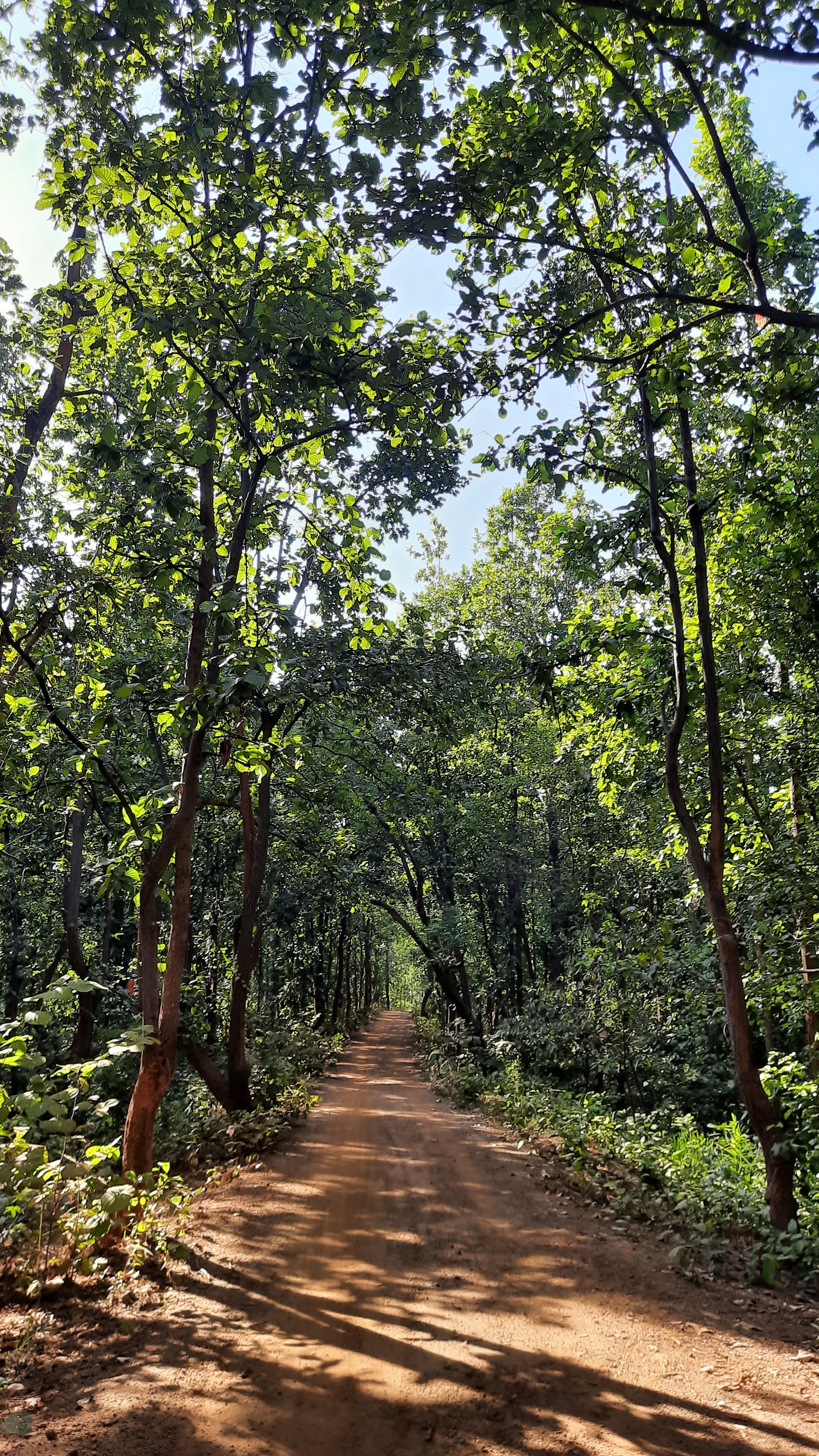 Road to life